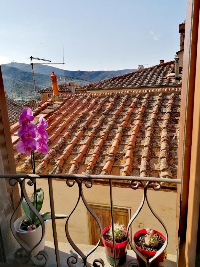 Il Trottapiano Castiglion Fiorentino