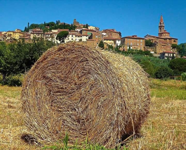 Il Trottapiano *